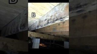 $1,000,000 to live in one of these moldy houses for 1 year. Would you do it?