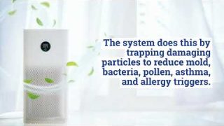 4 Indoor Air Quality Solutions to Keep Your Air and Yourself Healthy