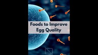 5 Foods to improve egg quality & help you get pregnant naturally #pregnancy  #pregnancyfoods