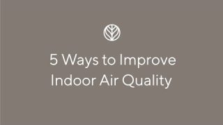 5 Ways to Improve Indoor Air Quality