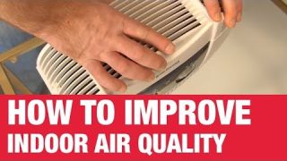 5 Ways To Improve Indoor Air Quality – Ace Hardware