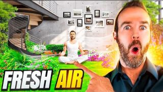 5 ways to Improve your homes air quality 🍃