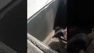 Air conditioner Service in Dubai 🇦🇪❤️ #airconditioner #dubai #uae #viral ❤️ #automobile #ac #diy