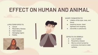 AIR POLLUTION CASE STUDY BIO330