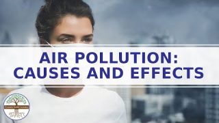 Air Pollution Causes and Effects – Smog – Explainer Video