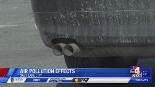 Air Pollution Health Effects