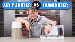 Air Purifier vs Humidifier – Which Should You Buy?