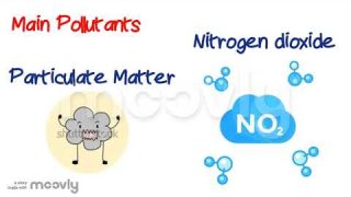 Air Quality and COVID-19 – School project