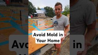 Avoid Mold Under Your House