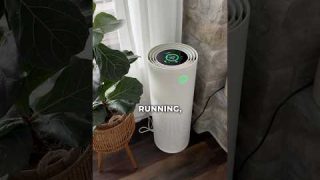 BEST Air Purifier on the Market Right Now (JASPR Review)
