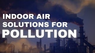 Best Indoor Air Solutions for Pollution