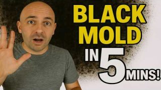 Black Mold – How To Kill Toxic Mold In Under 5 Mins!