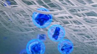Blueair – Revolutionizing Air Purification Technology