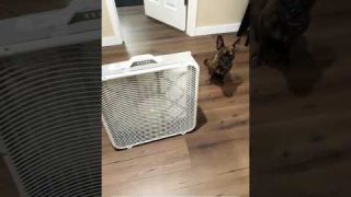 Box Fan Emergency Home Air Filter