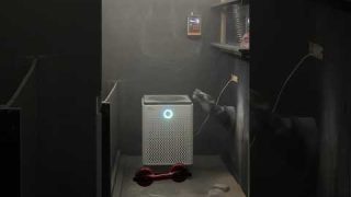 Can An Air Purifier Help Reduce Dust in Your Home?