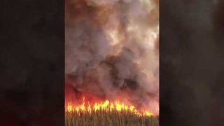 Canada Wildfires Lead to Air-Quality Alerts in Northeastern US