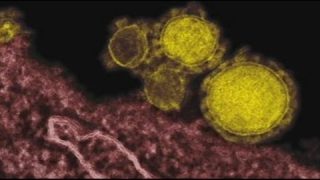 CDC Investigators Unsure How MERS Is Spread
