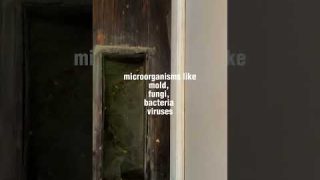 Combat Indoor Air Pollution: Solutions for Cleaner, Healthier Air!