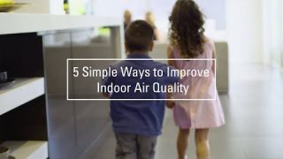 Daikin Australia:  5 Simple Ways to Improve Indoor Air Quality