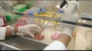 Deadly Middle East Respiratory Syndrome spreads to Egypt