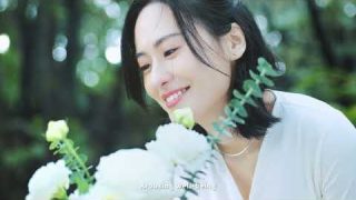 DELTA Indoor Air Quality Solutions – Realize Your Ideal Life Every Day