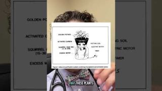 Do plants help treat allergies? Do plants help with indoor air quality? #allergies #plants #doctor