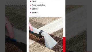 Dust Bunnies – How to chase it out with carpet cleaning Dubai