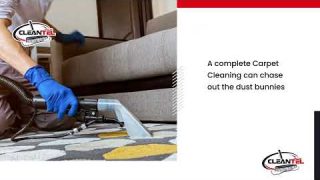 Dust Bunnies – How to chase them out of your house through Carpet Shampoo?
