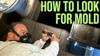 Early Stage Mould Inspection Tips from a Mold Inspector