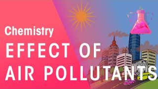 Effect of Air Pollutants on Health | Environmental Chemistry | Chemistry | FuseSchool
