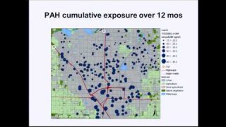 Effects of Air Pollution on Immune Function and Asthma