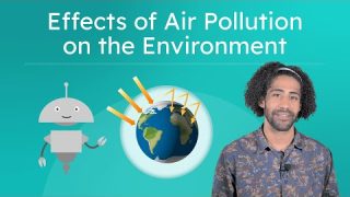 Effects of Air Pollution on the Environment – Causes and Impact of Pollution