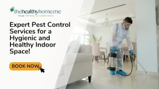 Expert Pest Control in Dubai for a  Hygienic and Healthy Indoor Space!