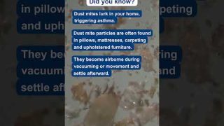 🌟 Dust Mites: The Hidden Asthma Trigger! 😱