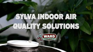 🌿 Breathe Cleaner Air in Sylva! 💨 Expert Indoor Air Quality Solutions ✨
