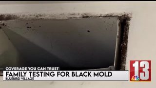 Family impacted by black mold at apartment complex in South Glens Falls