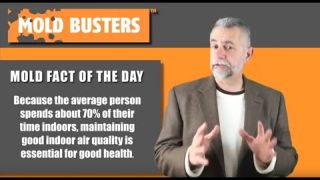 Good Indoor Air Quality Is Essential to Good Health
