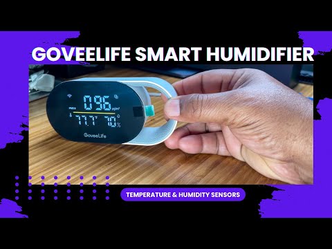 GoveeLife Smart Air Quality Monitor with PM2.5