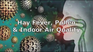 Hay Fever, Pollen & Indoor Air Quality