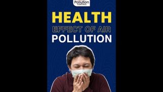Health Effects of Air Pollution  #shorts #airpollution #healthmatters #cleanair #pollution #smog