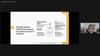 Health Impacts of Indoor Air Pollution   Elizabeth C  Matsui