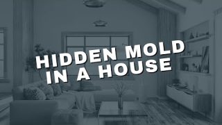 Hidden Mold in a House