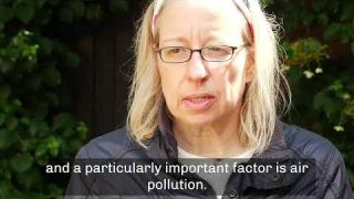 High levels of air pollution increase health risks from heat