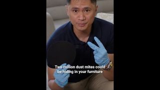 House Dust Mites: How to Prevent Their Harmful Health Effects?