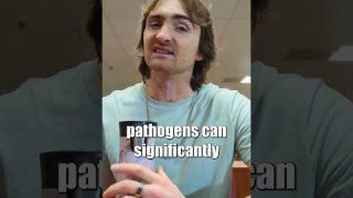 How Advanced Air Purifiers Improve Indoor Air Quality & Boost Workplace Health