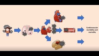 How Air Pollution affects Heart Health