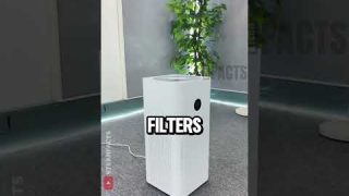 How Air Purifiers REALLY Work 🌬️💨