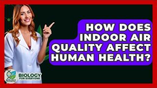 How Does Indoor Air Quality Affect Human Health? – Biology For Everyone