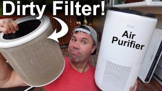 How To Clean Air Purifier Filters (HEPA – Levoit)