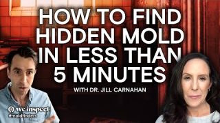 How To Find Hidden Mold In A House In Less Than 5 Minutes